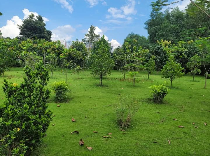 Thuế nhà đất cho căn nhà sở hữu thứ 2  - 1