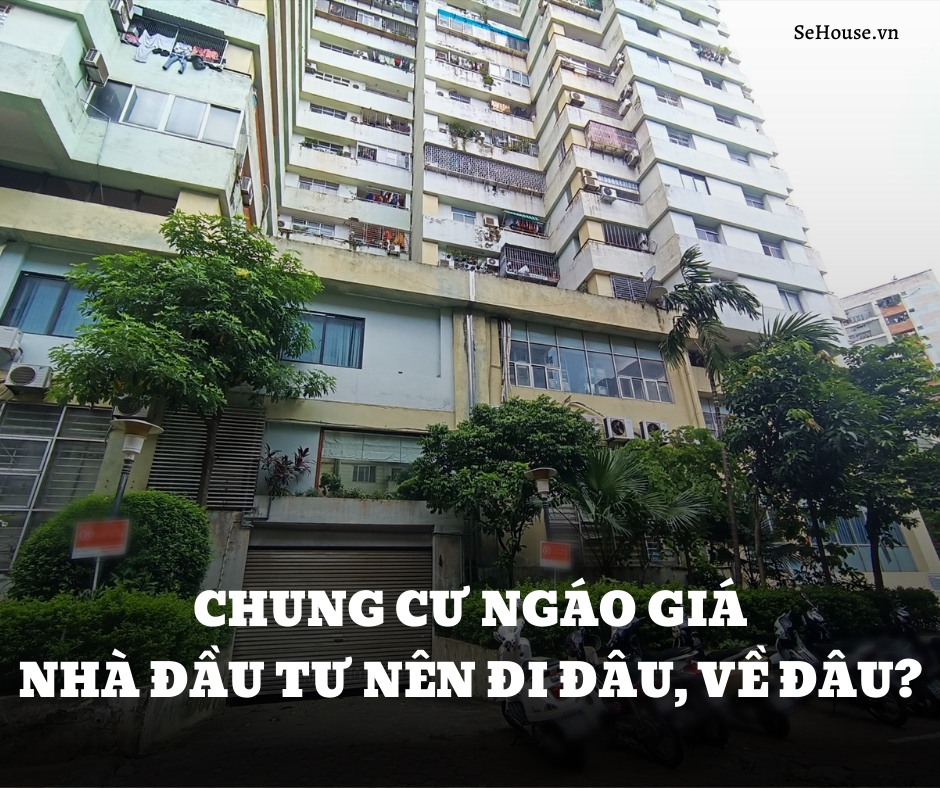 Chung cư "ngáo giá", đất HN "ngáo giá". Nhà đầu tư giờ đi đâu, về đâu? - 1