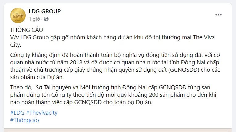 LDG lên tiếng về những lùm xùm xung quanh dự án The Viva City - 1