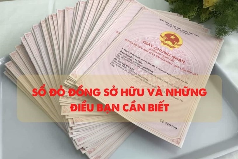 Đất đồng sở hữu khi cấp hoặc sang t&ecirc;n sổ đỏ, sổ hồng ghi t&ecirc;n đầy đủ người c&oacute; chung quyền sử dụng đất, cấp cho mỗi người 1 giấy chứng nhận, trừ trường hợp cử người đại diện. Đồ hoạ: Minh Huy