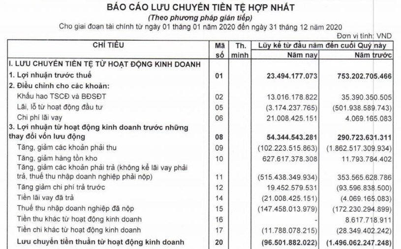 Nguồn: BCTC hợp nhất qu&yacute; 4/2020 tại LDG