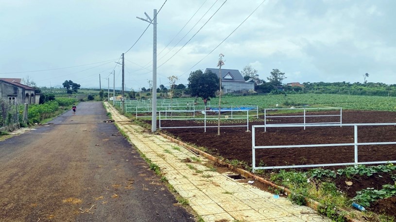 Bất động sản L&#226;m Đồng: Sức hấp dẫn trong đầu tư d&#224;i hạn - Ảnh 2