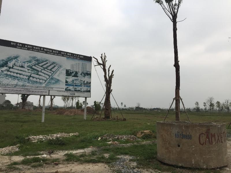 Ghi nhận của PV, tại khu vực huyện Mê Linh, dọc hai bên con đường nối xã Tiền Phong, Đại Thịnh, Thanh Lâm..., có thể thấy hàng chục mảnh đất nhiều năm bỏ hoang, cỏ dại mọc.