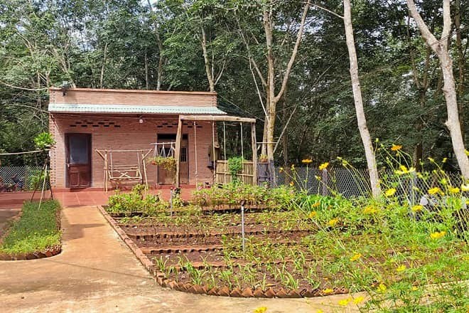 L&#192;M M&#195;I KH&#212;NG MUA NỔI TẤC ĐẤT CẮM D&#217;I  - Ảnh 1