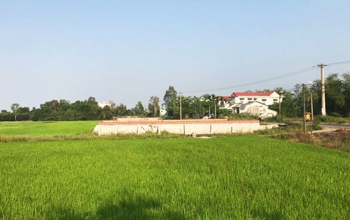 Đất quê ở xã Hòa Tiến, huyện Hòa Vang bất ngờ tăng gấp 5,6 lần khiến UBND huyện phải ra văn bản cảnh báo người dân