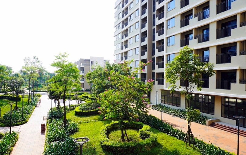 Tôi từng suýt mất cả tiền lẫn nhà chỉ vì nghĩ “thuê mua NOXH” cũng gần giống… mua rồi - Ảnh 1