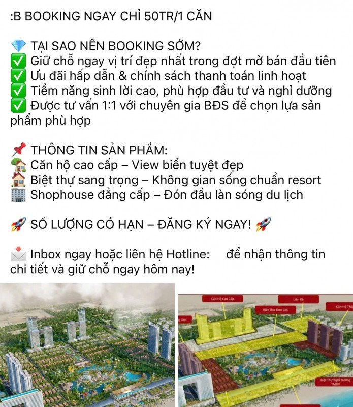 Một trong những th&ocirc;ng tin kh&ocirc;ng ch&iacute;nh x&aacute;c rao b&aacute;n "Si&ecirc;u dự &aacute;n đ&ocirc; thị biển Vũng T&agrave;u" tr&ecirc;n mạng x&atilde; hội.