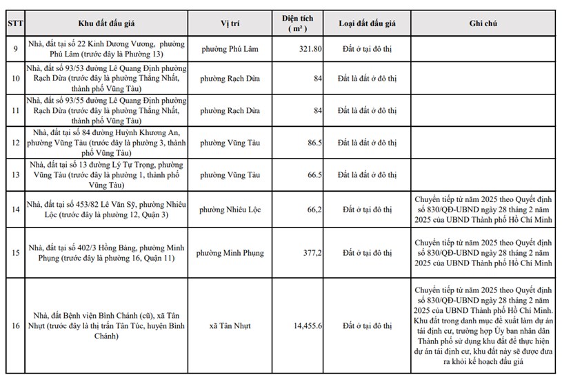 Chuẩn bị lúa gom hàng ngon thôi ae: TP.HCM ban hành kế hoạch đấu giá 50 khu đất, lô đất  - Ảnh 2