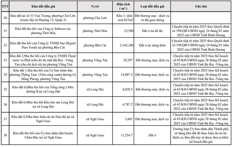 Chuẩn bị lúa gom hàng ngon thôi ae: TP.HCM ban hành kế hoạch đấu giá 50 khu đất, lô đất  - Ảnh 5