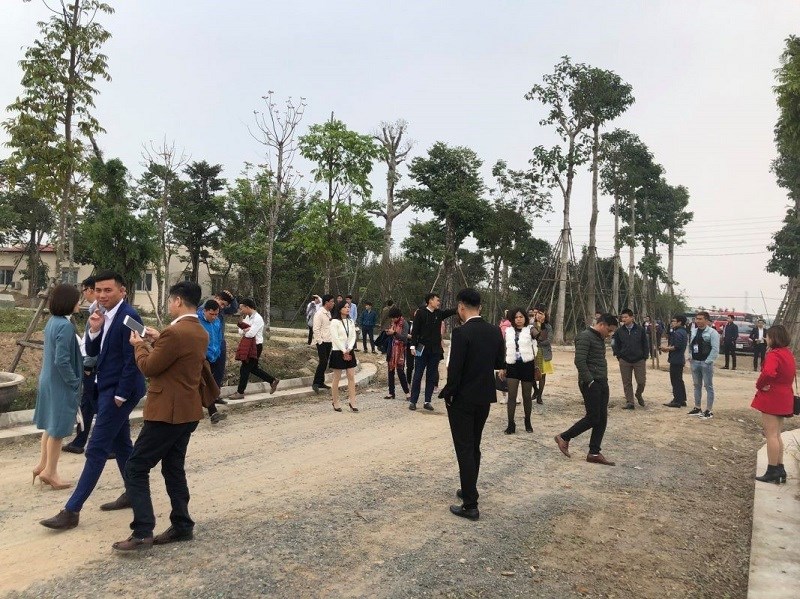 Xu hướng “Nam tiến” kh&#244;ng c&#242;n, nh&#224; đầu tư H&#224; Nội đang đổ x&#244; “săn” đất nền ven đ&#244;? - Ảnh 1