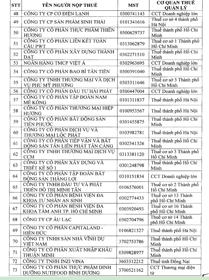 Loạt “ông lớn” BĐS vào tầm ngắm kiểm tra thuế 2026: Bcons, Tiến Phước, Thắng Lợi, Gamuda Land… đều có tên  - Ảnh 4