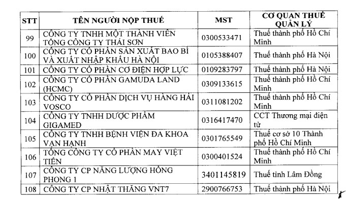 Loạt “ông lớn” BĐS vào tầm ngắm kiểm tra thuế 2026: Bcons, Tiến Phước, Thắng Lợi, Gamuda Land… đều có tên  - Ảnh 6
