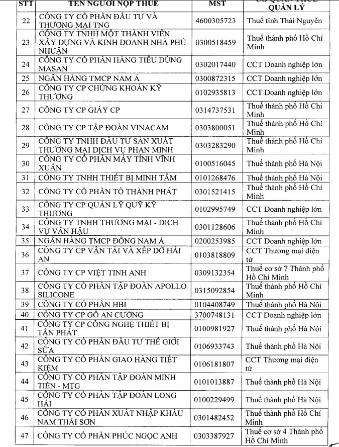 Loạt “ông lớn” BĐS vào tầm ngắm kiểm tra thuế 2026: Bcons, Tiến Phước, Thắng Lợi, Gamuda Land… đều có tên  - Ảnh 3