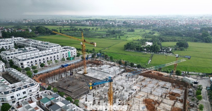 Đã đến lúc cởi trói tín dụng cho bất động sản: Chuyên gia đề xuất trao quyền cho ngân hàng – điều tiết bất động sản theo biến động giá. Kiểm soát quá sẽ thành điểm nghẽn!  - Ảnh 1