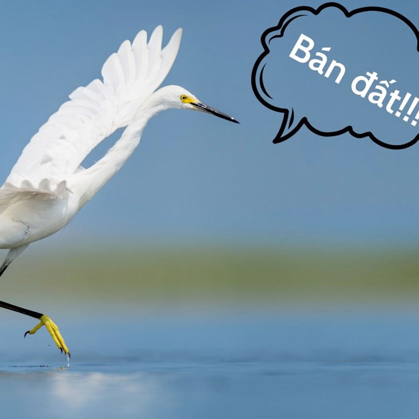 Người mua nhà có sẵn sàng bỏ chữ “cò” nếu gặp đúng môi giới tử tế? - Ảnh 1