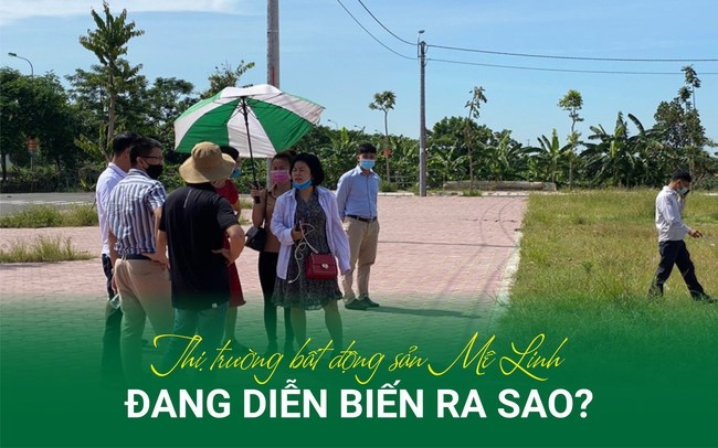 S&#243;ng đấu gi&#225; bất động sản đổ về M&#234; Linh, thị trường khu vực đang diễn biến ra sao? - Ảnh 1