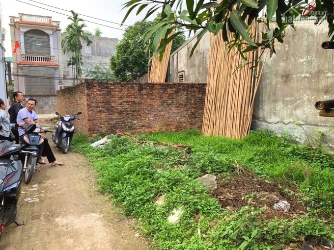 C&#243; n&#234;n mạo hiểm với miếng đất chưa sổ ri&#234;ng?  - Ảnh 2