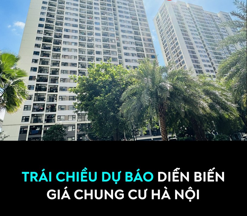 TR&#193;I CHIỀU DỰ B&#193;O DIỄN BIẾN GI&#193; CHUNG CƯ H&#192; NỘI  - Ảnh 1