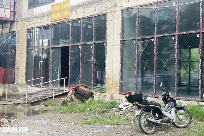 Nguồn ảnh: D&acirc;n Tr&iacute;&nbsp;
