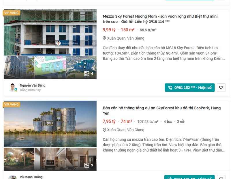 Th&ocirc;ng tin rao b&aacute;n tr&ecirc;n batdongsan.com. Ảnh chụp m&agrave;n h&igrave;nh &nbsp;