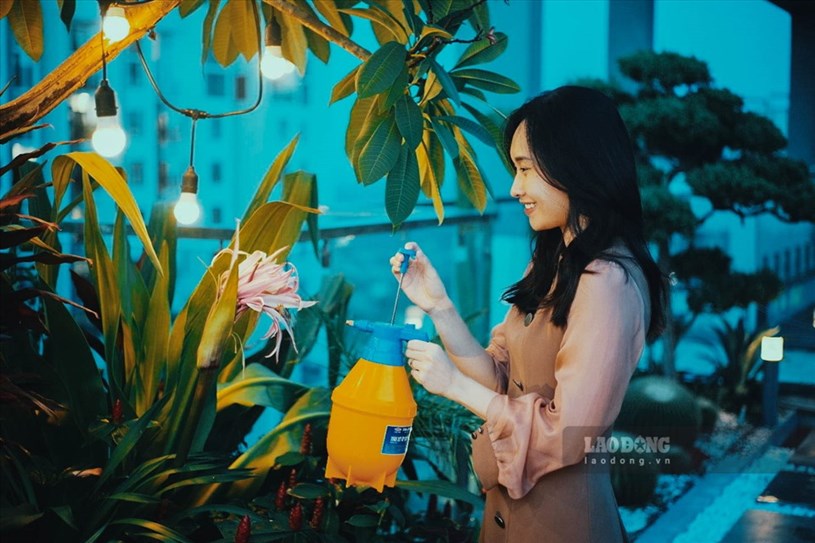 Theo anh T&ugrave;ng, để c&oacute; thể trồng c&acirc;y tr&ecirc;n cao, anh v&agrave; vợ đ&atilde; d&agrave;nh thời gian nghi&ecirc;n cứu kỹ.