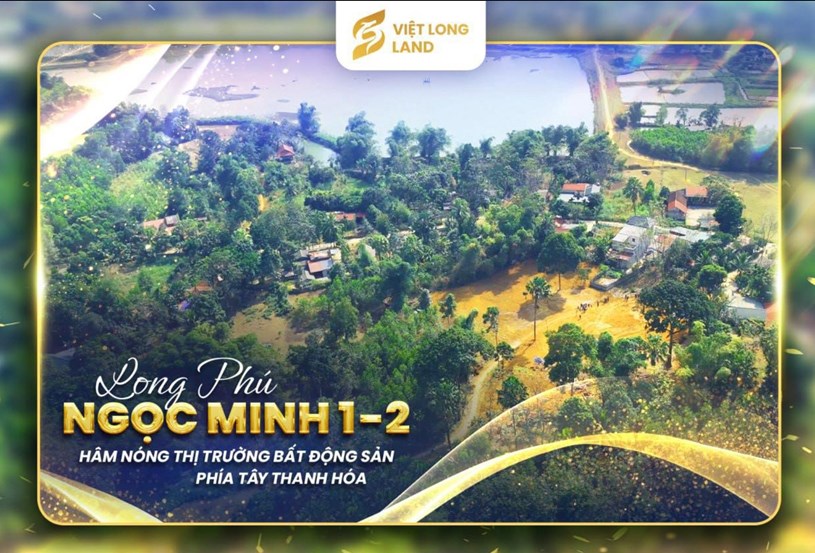 C&#244;ng ty Cổ phần Tập đo&#224;n Đầu tư Việt Long: Bức tranh doanh nghiệp sau lệnh cưỡng chế thuế  - Ảnh 1