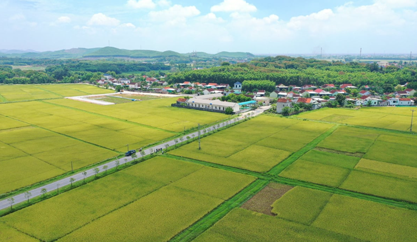 Đề xuất giảm đến 70% tiền chuyển mục đ&#237;ch đất n&#244;ng nghiệp sang đất ở - Ảnh 1