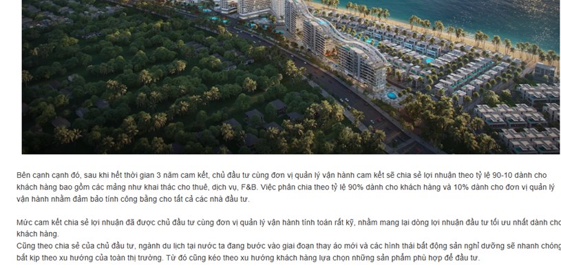 Th&ocirc;ng tin quảng c&aacute;o của dự &aacute;n. Ảnh chụp m&agrave;n h&igrave;nh.