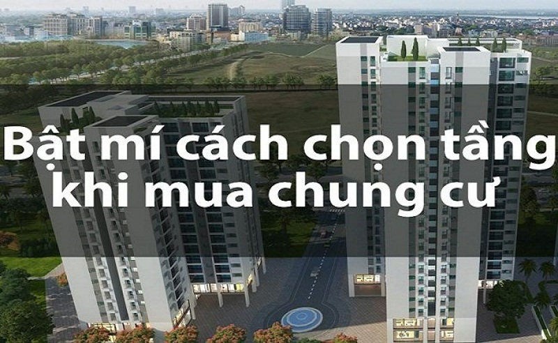 3 lần chuyển nh&#224;, t&#244;i mới hiểu: chọn sai tầng c&#243; thể biến “tổ ấm” th&#224;nh chỗ... ở tạm  - Ảnh 1
