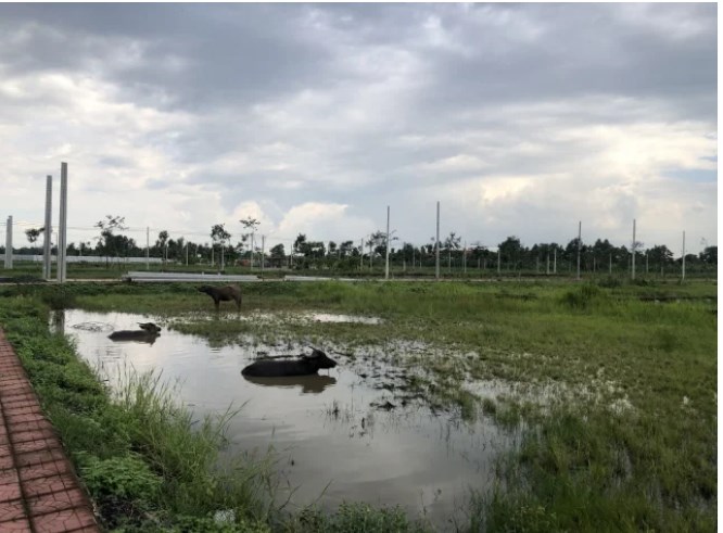 Thực tế dự &aacute;n
