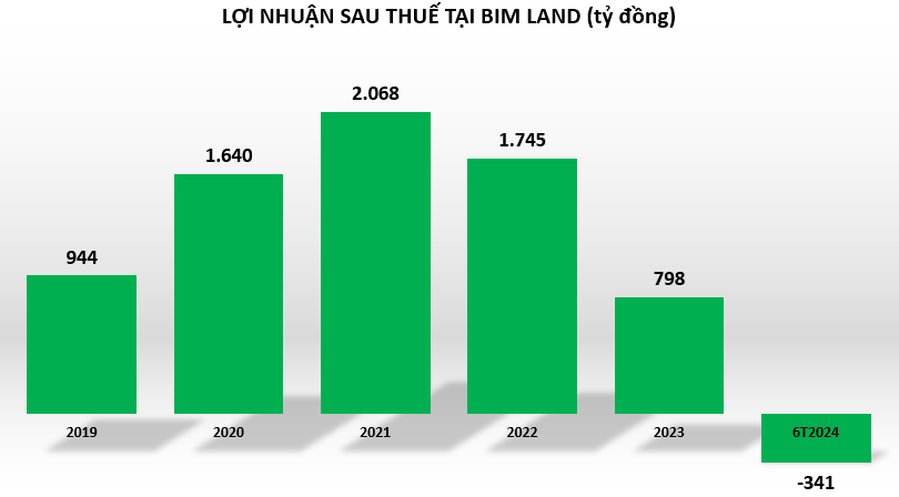 C&#244;ng ty con của BIM Group lỗ đậm, nợ phải trả chiếm tới 74% nguồn vốn  - Ảnh 1