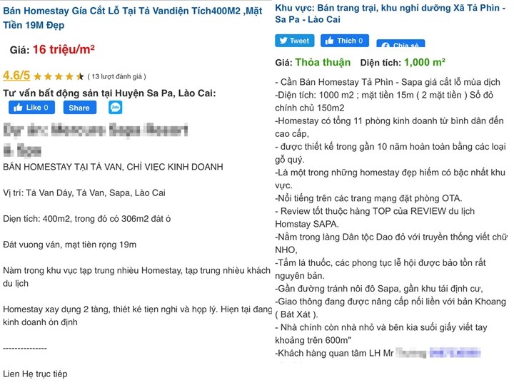 Ngấm đ&#242;n COVID-19, homestay đồng loạt rao b&#225;n, gi&#225; giảm s&#226;u vẫn ế kh&#225;ch - Ảnh 2