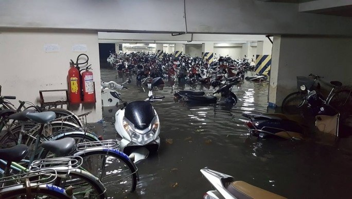 M&igrave;nh sợ khi nh&igrave;n những h&igrave;nh ảnh n&agrave;y.&nbsp;