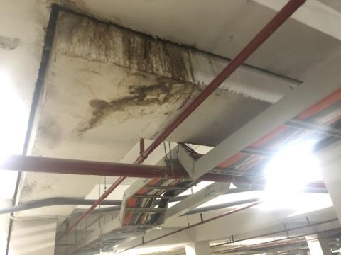 T&igrave;nh trạng thấm dột đ&aacute;ng b&aacute;o động tại Fresca Riverside.