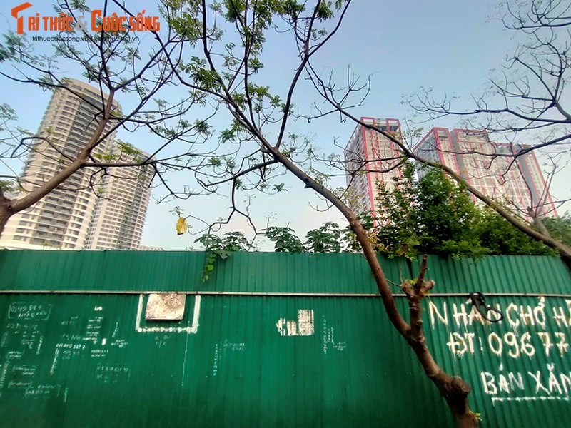 “Đất v&#224;ng” Constrexim Complex “đắp chiếu”, cỏ mọc hoang h&#243;a - Ảnh 12