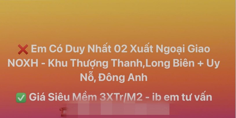 Đi mua nh&#224; ở x&#227; hội m&#224; tưởng đi v&#224;o… chợ đen: chuyện thật em vừa trải qua v&#224; lời nhắn gửi c&#225;c b&#225;c đang t&#236;m NƠXH  - Ảnh 1