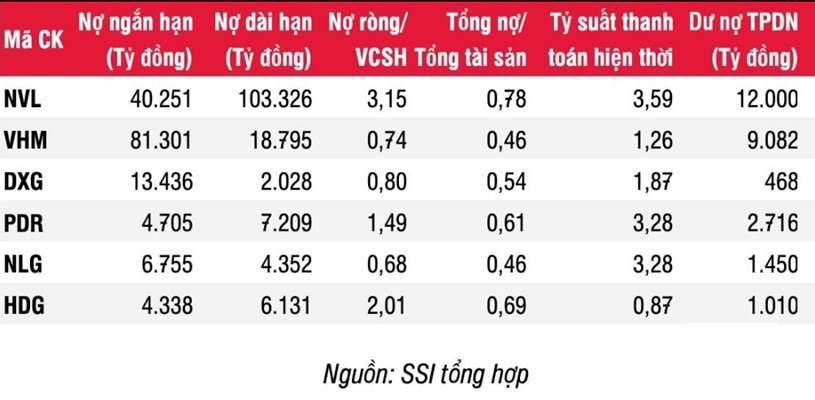 Novaland l&#224; c&#244;ng ty vay mượn nhiều nhất trong c&#225;c doanh nghiệp bất động sản - Ảnh 1