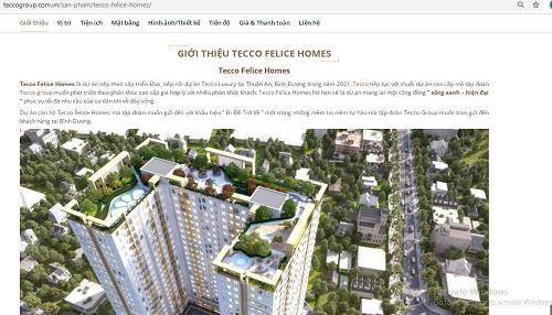 Sự thật về dự &#225;n Tecco Felice Homes - G&#243;c cảnh gi&#225;c cho nh&#224; đầu tư - Ảnh 4
