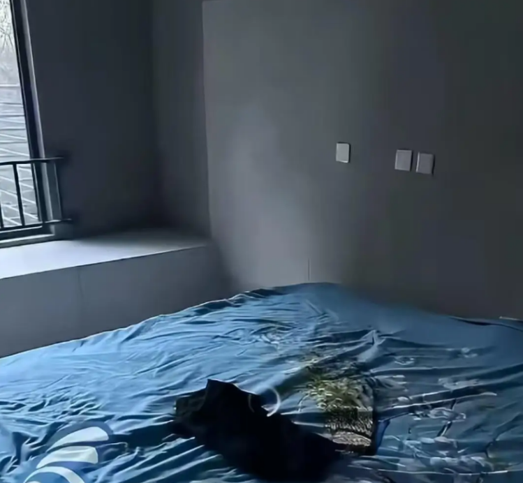 Mua nhà 5,6 tỷ mà như đi mượn: Nhà mình nhưng người lạ ở, chủ đầu tư bảo "thường thôi"!  - Ảnh 1