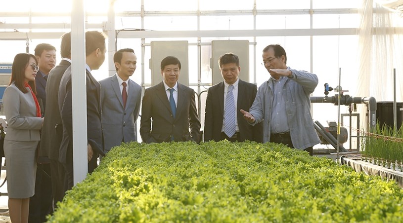  Tập đoàn FLC đầu tư Dự án nông nghiệp công nghệ cao tại Hà Tĩnh với quy mô 210,3ha.