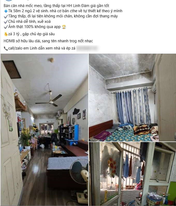 Người ta gọi vui đây là “Cửu Long Thành Trại bản Việt”, mà nhìn cái ảnh ở khu Linh Đàm thì đúng là cũng có lý do để gọi như vậy thật! - Ảnh 1