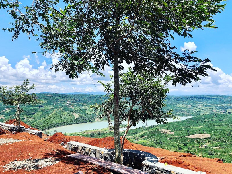 Trải nghiệm mua đất vườn nghỉ dưỡng - Ảnh 6