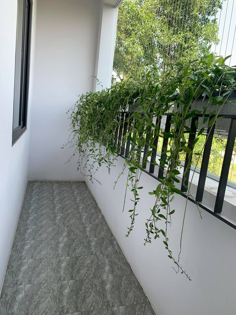 Review Dự &#225;n căn hộ Star Tower - CĐT Vietstar Holding - Ảnh 8