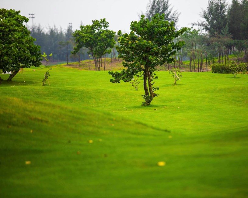 Chủ tịch Trịnh Văn Quyết kỉ niệm tròn 7 năm cải tạo khu đầm lầy hoang hoá thành quần thể FLC Sầm Sơn 5 sao chuẩn quốc tế - Ảnh 6