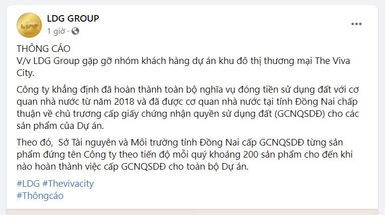 LDG l&#234;n tiếng về những l&#249;m x&#249;m xung quanh dự &#225;n The Viva City - Ảnh 1