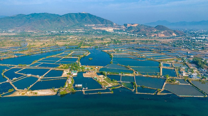 Hạ tầng tạo đ&ograve;n bẩy ph&aacute;t triển cho Nam Nha Trang