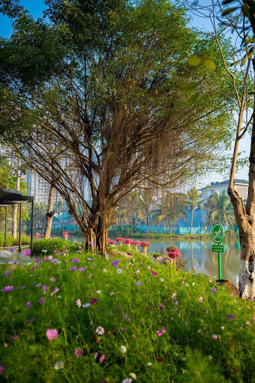 Ecopark đưa v&#224;o hoạt động cung đường dạo bộ đẹp nhất miền Bắc - Ảnh 9