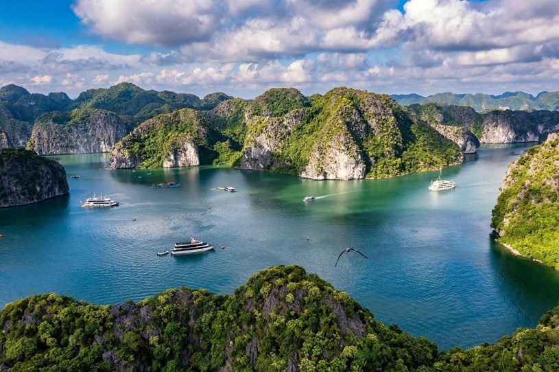 Quần đảo C&aacute;t B&agrave; sở hữu hệ sinh th&aacute;i thi&ecirc;n nhi&ecirc;n độc đ&aacute;o h&agrave;ng đầu thế giới. Nguồn ảnh: Shutterstock &nbsp;