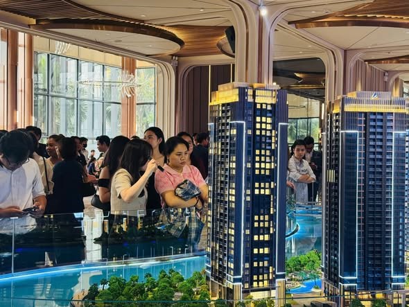 Ảnh minh họa&nbsp;