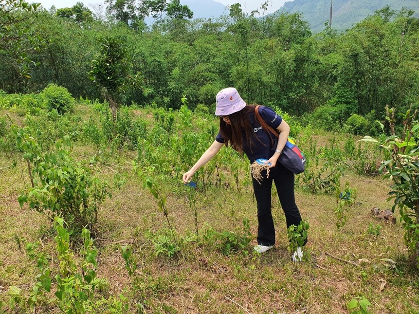 1.112 c&acirc;y xanh được trồng tại rừng đầu nguồn s&ocirc;ng Thạch H&atilde;n, Quảng Trị do TNG Holdings Vietnam t&agrave;i trợ.